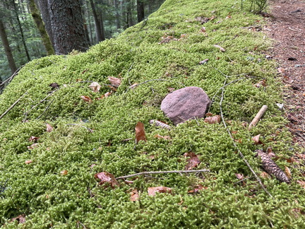 22-05-29 12-01-00 0956